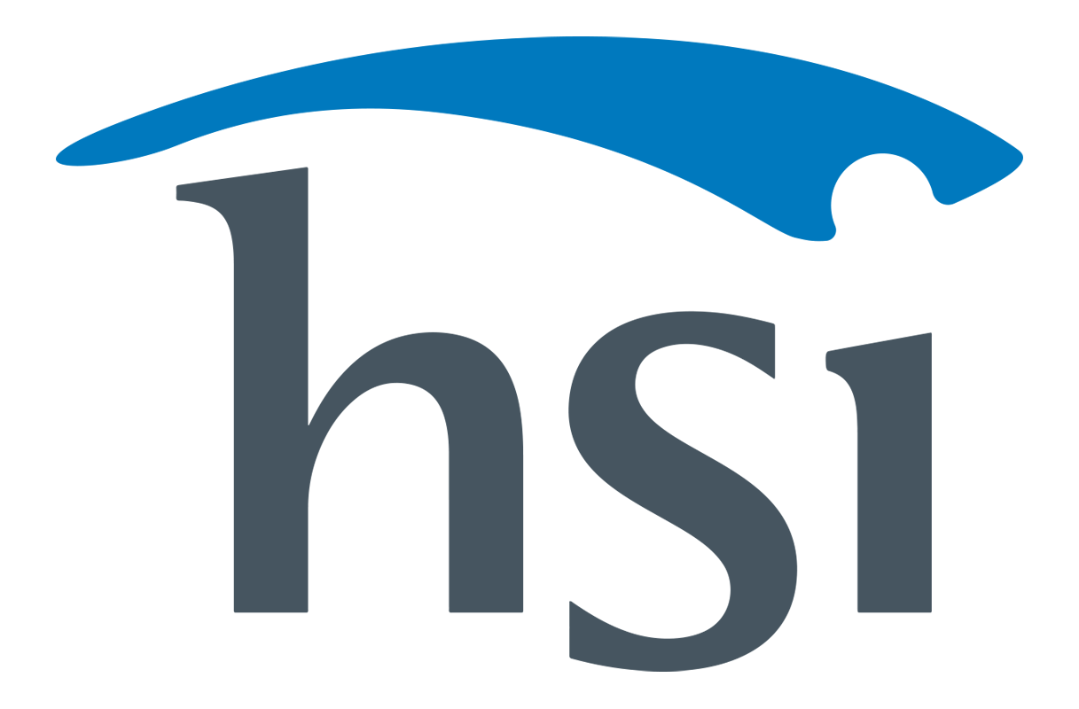 HSI IT Hub
